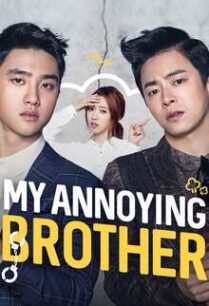คุณพี่ชายสุดที่รัก My Annoying Brother (2016) 